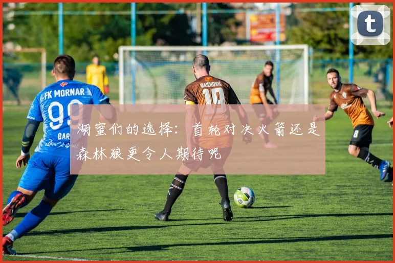 湖蜜们的选择：首轮对决火箭还是森林狼更令人期待呢